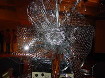 2007_45.jpg
