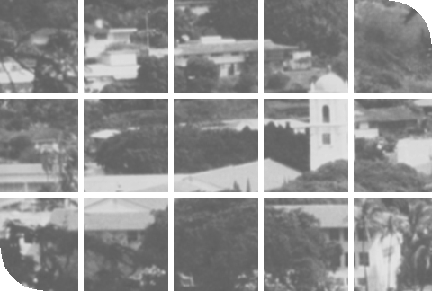 [Aerial view of RHS in 1982]